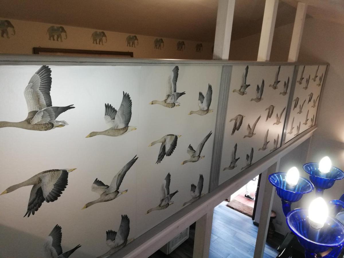 Sguardo sul lago Trevignano Romano Esterno foto