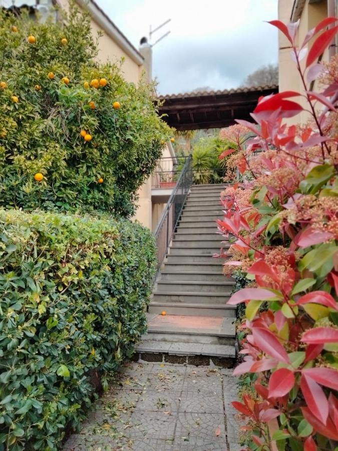Sguardo sul lago Trevignano Romano Esterno foto
