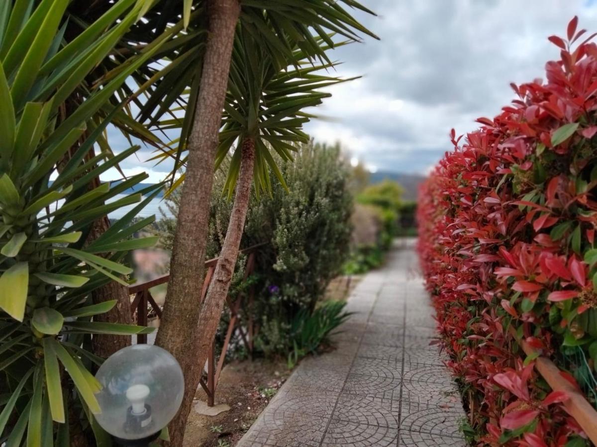 Sguardo sul lago Trevignano Romano Esterno foto