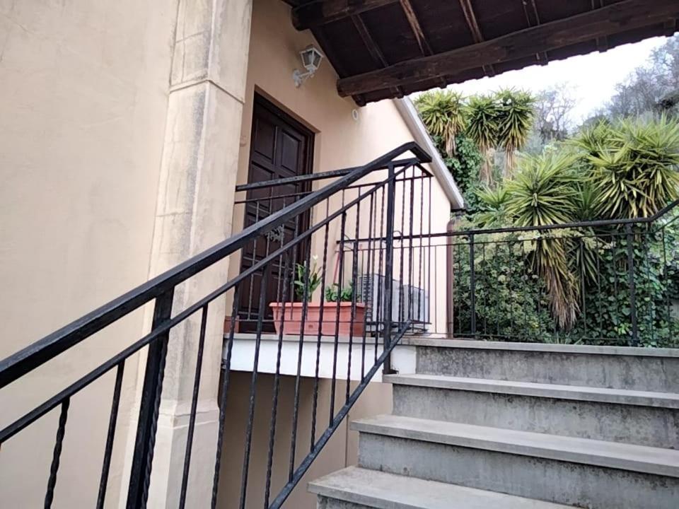 Sguardo sul lago Trevignano Romano Esterno foto